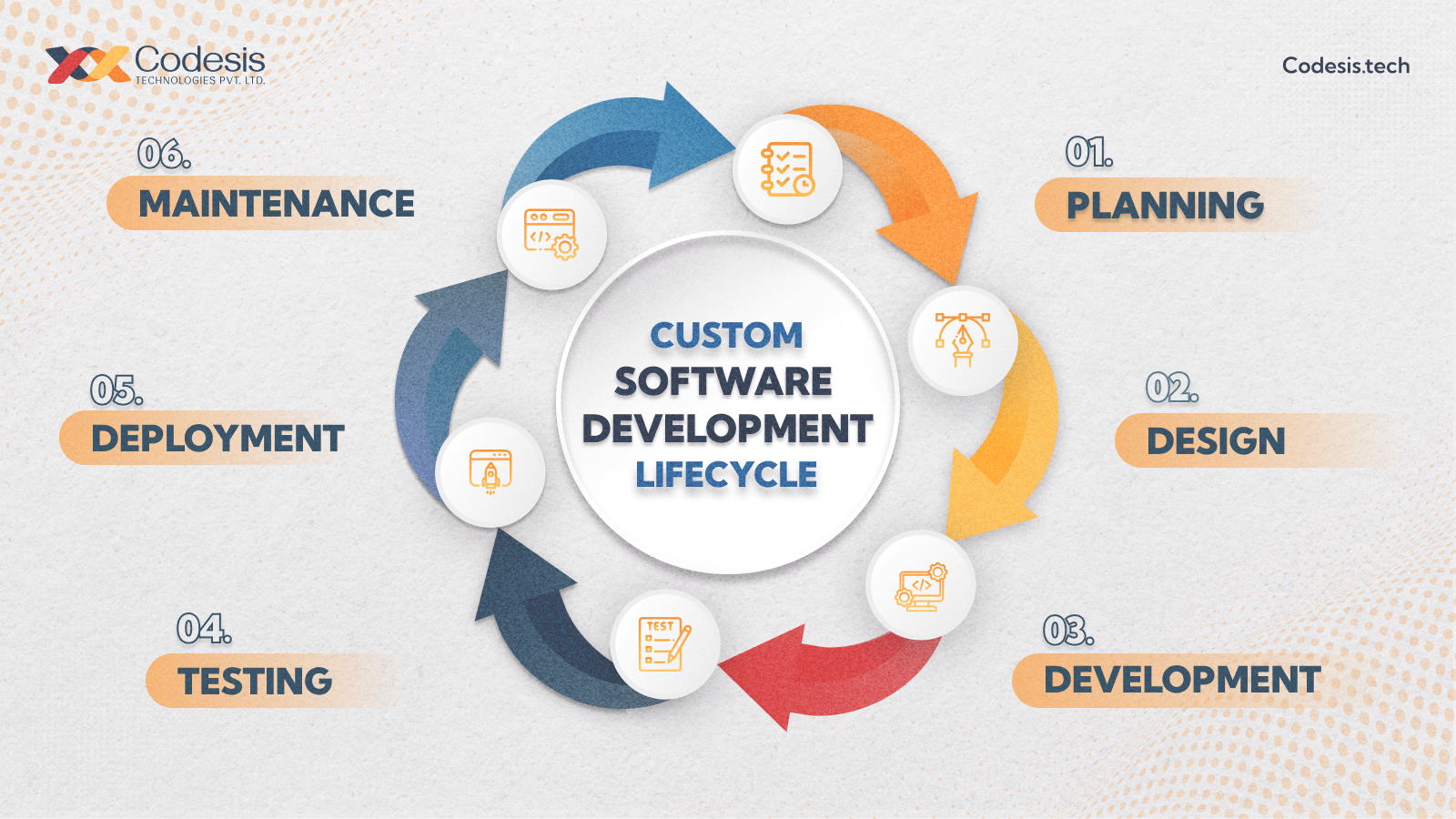 an image showing 7 stages of custom software development lifecycle with a codesis logo on top